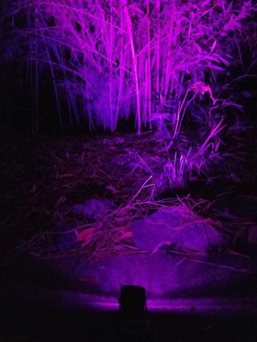 be3cdb7d36bf1e7f319edfc3c66cb45d--halloween-lighting-party-lighting